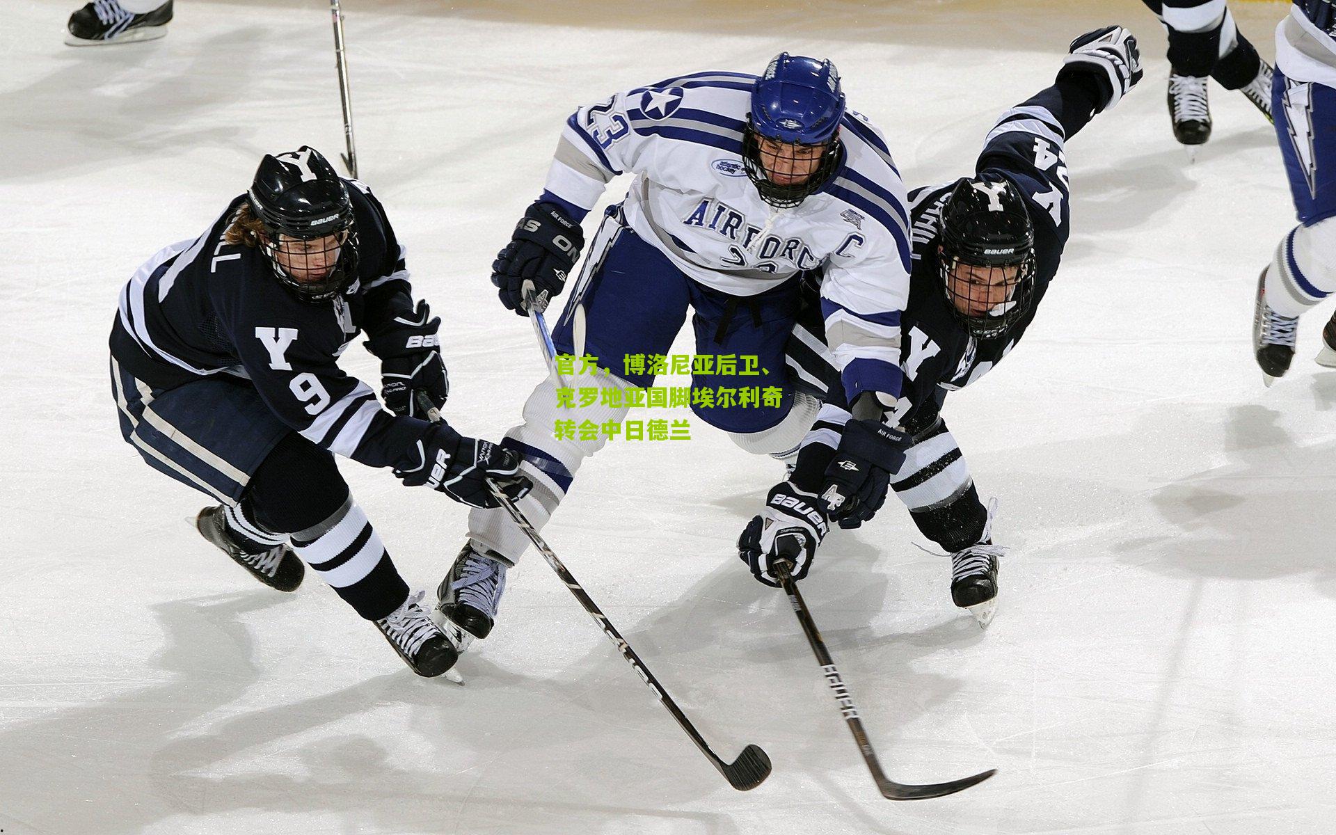 官方,博洛尼亚后卫、克罗地亚国脚埃尔利奇转会中日德兰