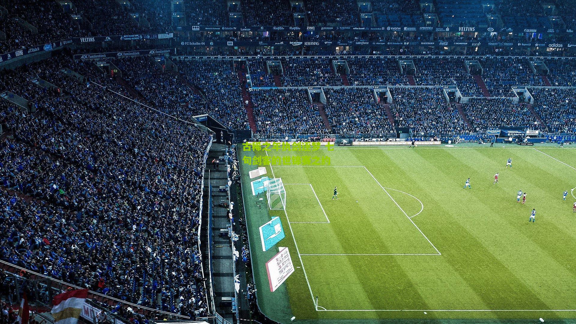 古稀之年执剑逐梦 七旬剑客的世锦赛之约