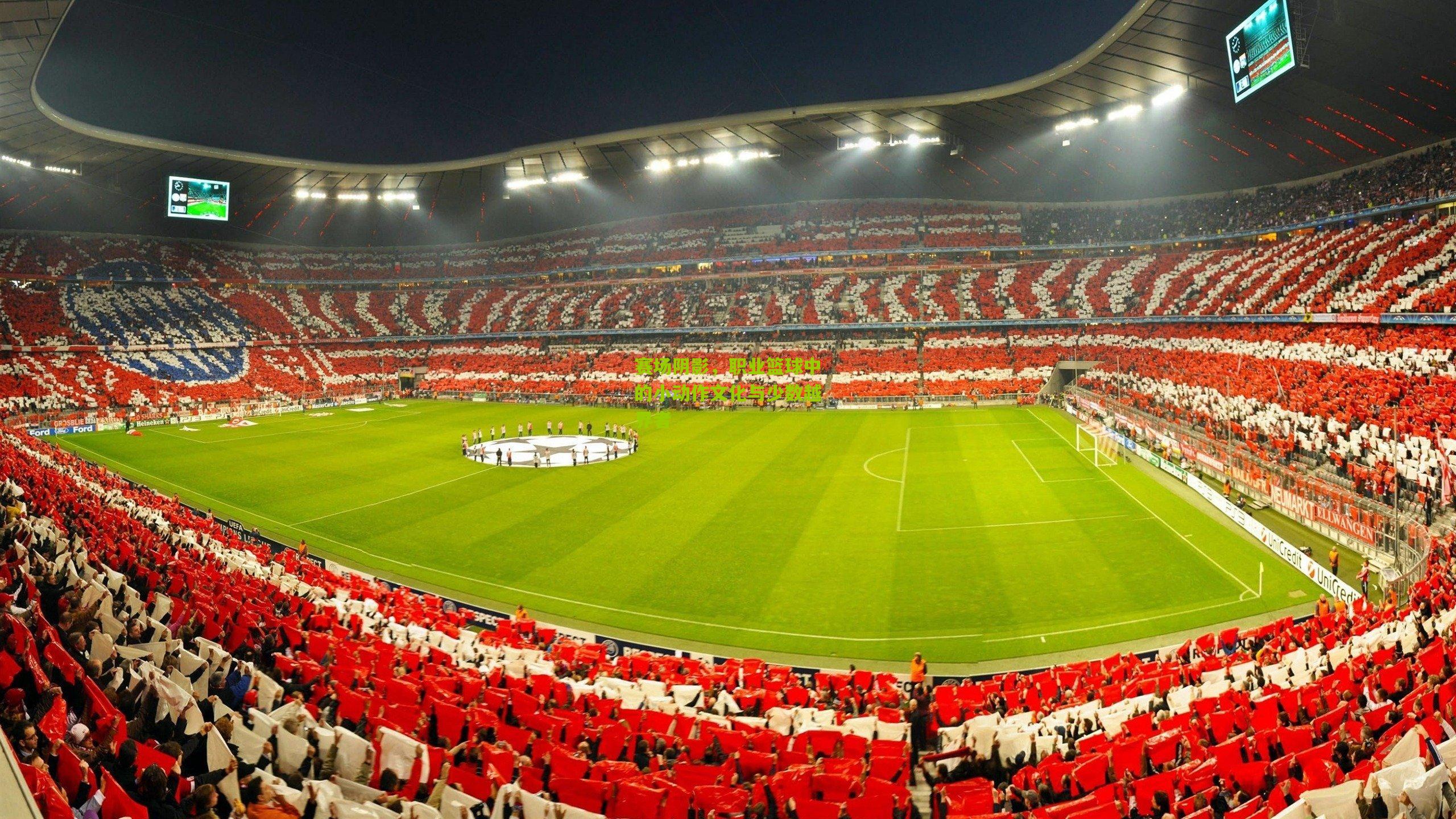 赛场阴影，职业篮球中的小动作文化与少数越界者